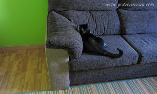protector sofá gatos ikea protector sofá gatos ikea